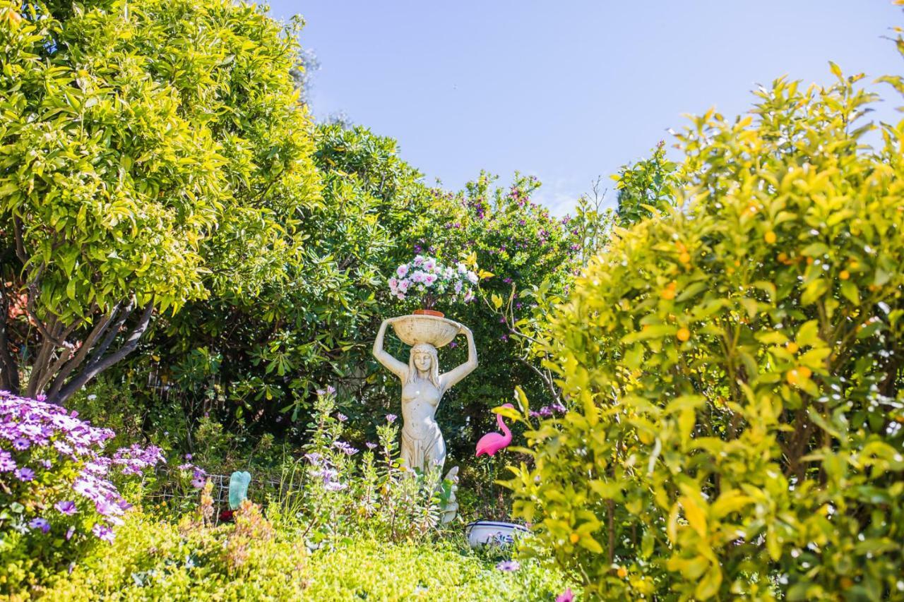 La Casetta Dei Fiori Vi3078 Villa